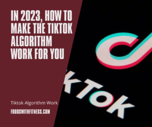 TikTok Algorithm Work